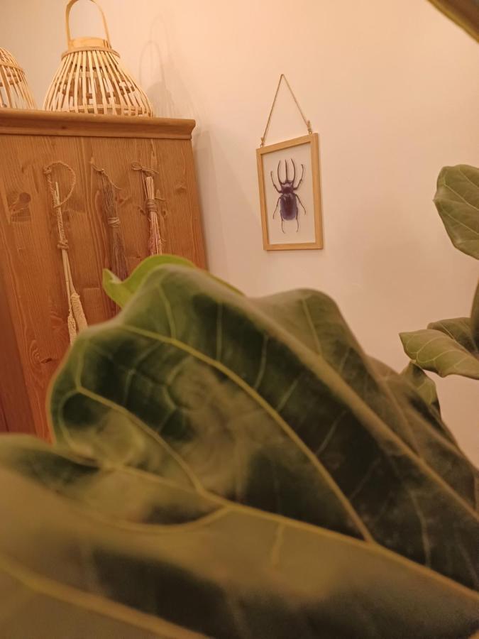 75M2 Indoor Glamping Scheveningen Daire Lahey Dış mekan fotoğraf